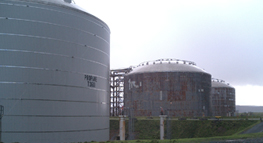 cryogenic storage tanks